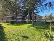 Appartamento in vendita di 45 m² in Piazza delle betulle, 2