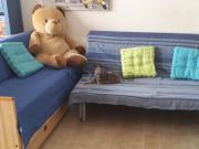 Appartamento in vendita di 50 m² in Via Bellini