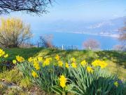 Appartamento in vendita di 50 m² in Via Prada