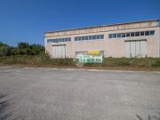 Appartamento in vendita di 535 m² in Via Benito Graziani, 8