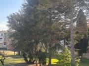 Appartamento in vendita di 55 m² in Via Trieste, 41