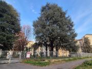 Appartamento in vendita di 60 m² in Via Demonte