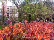 Appartamento in vendita di 60 m² in Via Giuseppe Ravizza, 42