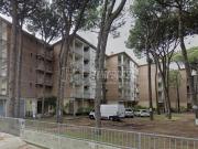 Appartamento in vendita di 60 m² in Viale dei Lecci, 92