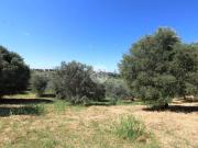 Appartamento in vendita di 62444 m² in Strada...