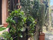 Appartamento in vendita di 64 m² in Vicolo Savelli, 28