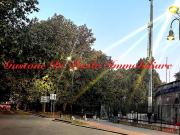 Appartamento in vendita di 66 m² in Viale Elvezia