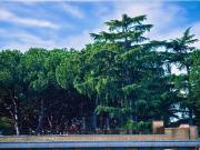 Appartamento in vendita di 67 m² in Largo di Boccea