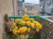 Appartamento in vendita di 67 m² in Via Monsignore...