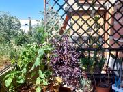 Appartamento in vendita di 67 m² in Via Sante Vandi