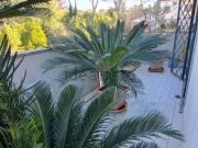 Appartamento in vendita di 68 m² in Via di Casalotti, 318