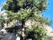 Appartamento in vendita di 68 m² in Via San Pantaleo...