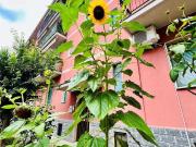 Appartamento in vendita di 70 m²