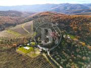 Appartamento in vendita di 70 m² in Località Ama