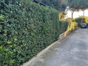 Appartamento in vendita di 71 m²