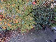 Appartamento in vendita di 73 m²