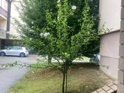 Appartamento in vendita di 75 m² in Via Provinciale