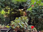 Appartamento in vendita di 76 m² in Via Alberto... Appartamento in vendita di 76 m² in Via Alberto...