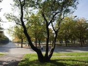 Appartamento in vendita di 79 m² in Corso Luigi Maria...