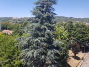 Appartamento in vendita di 80 m² in Corso divisione, 177