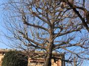 Appartamento in vendita di 85 m²