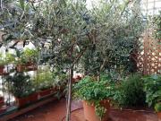 Appartamento in vendita di 85 m² in Via della Rondinella, 38