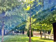 Appartamento in vendita di 92 m² in Piazza dei Mille