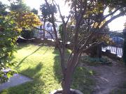 Appartamento in vendita di 95 m² in Via Pontemanco, 3