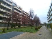 Appartamento in Via Augusto Camerini, Roma RM