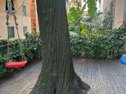 Appartamento in Via Nicolò Piccinni, Roma RM