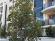 Appartamento in Via Padre Massaruti