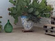 Appartamento in Via Perugini