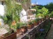 Appartamento in Villa in affitto a Palermo, Valdesi