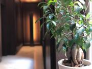 Appartamento MONOLOCALE in affitto a Milano Mi