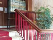 Appartamento MONOLOCALE in affitto a Torino To