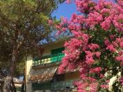 Appartamento PLURILOCALE in affitto a Massa Ms