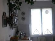 Appartamento PLURILOCALE in affitto a Massa Ms