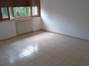 Appartamento PLURILOCALE in affitto a Picciorana Lu