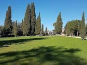 Appartamento PLURILOCALE in affitto a Roma Rm