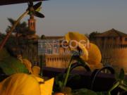 Appartamento quadrilocale 104mq