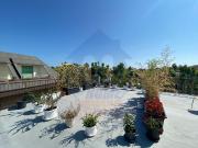 Appartamento quadrilocale 70mq