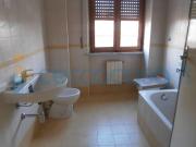 Appartamento Quadrilocale in affitto a Pisa