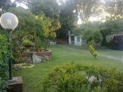 Appartamento QUADRILOCALE in affitto a Tirrenia Pi