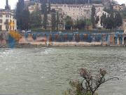 Appartamento Quadrilocale in affitto a Verona