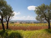 Appartamento ristrutturato in collina