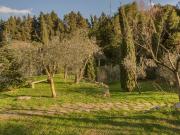 Appartamento sulle colline di Fiesole | Casa Leonardo