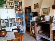 Appartamento TRILOCALE in affitto a Cascine di buti Pi