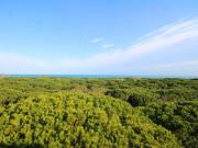 Appartamento TRILOCALE in affitto a Eraclea Ve