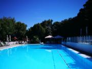 Appartamento TRILOCALE in affitto a Rosignano Marittimo Li