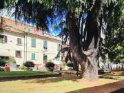 Appartamento TRILOCALE in affitto a Sarzana Sp